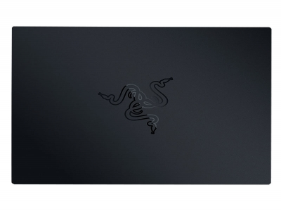 Razer Ripsaw HD