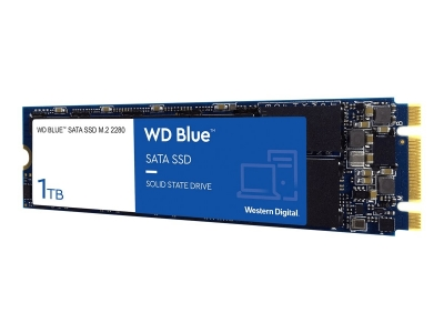 Western Digital WD 1To BLUE M.2